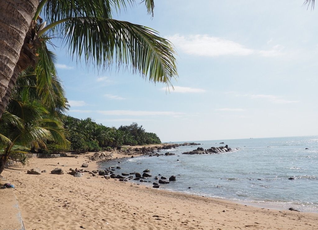 timg (2).jpg timg (2).jpg