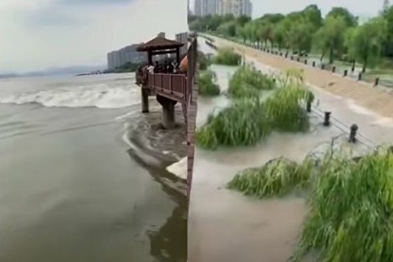 2-3-600x400.jpg 2-3-600x400.jpg