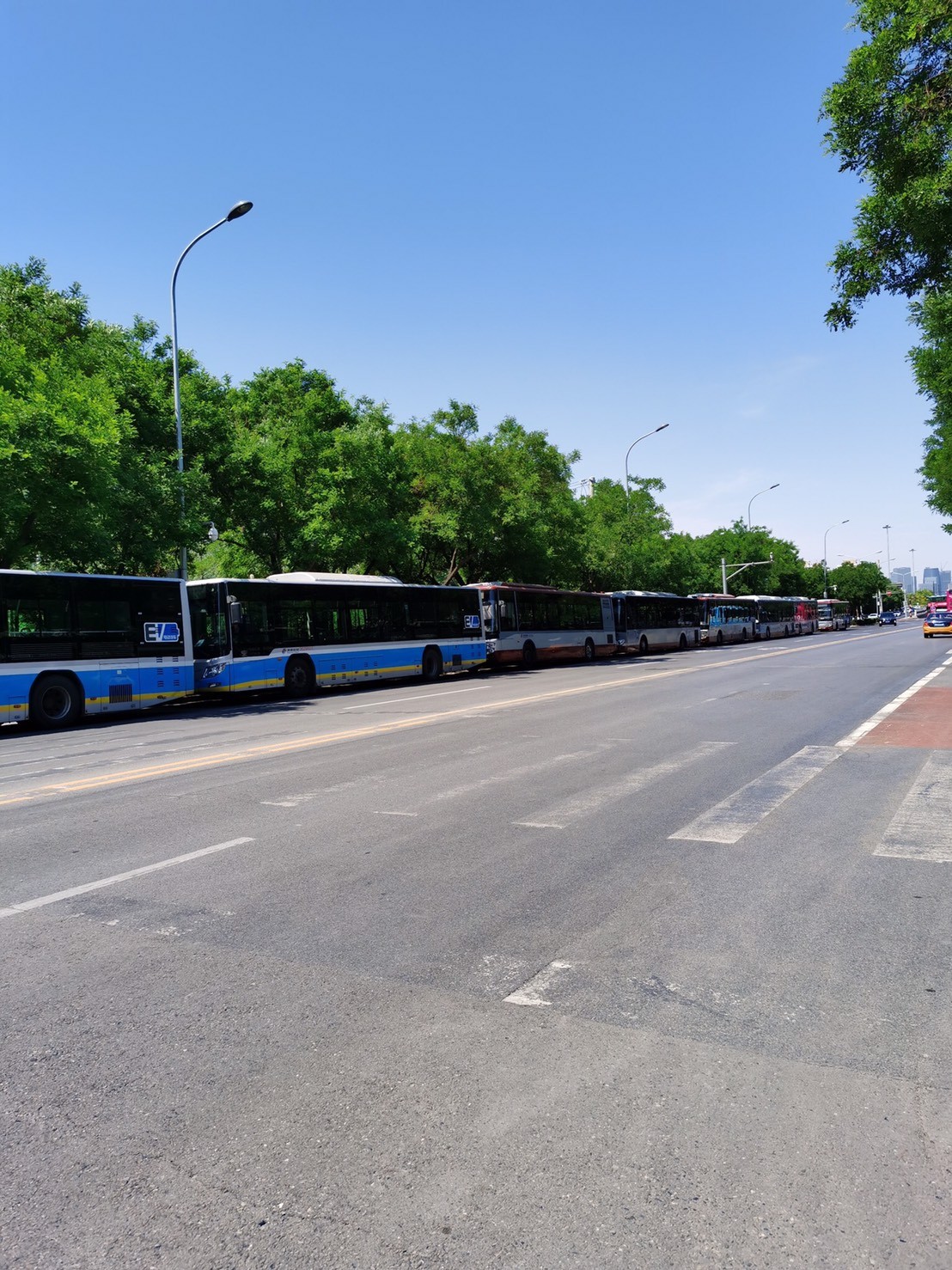 S__1736741.jpg S__1736741.jpg