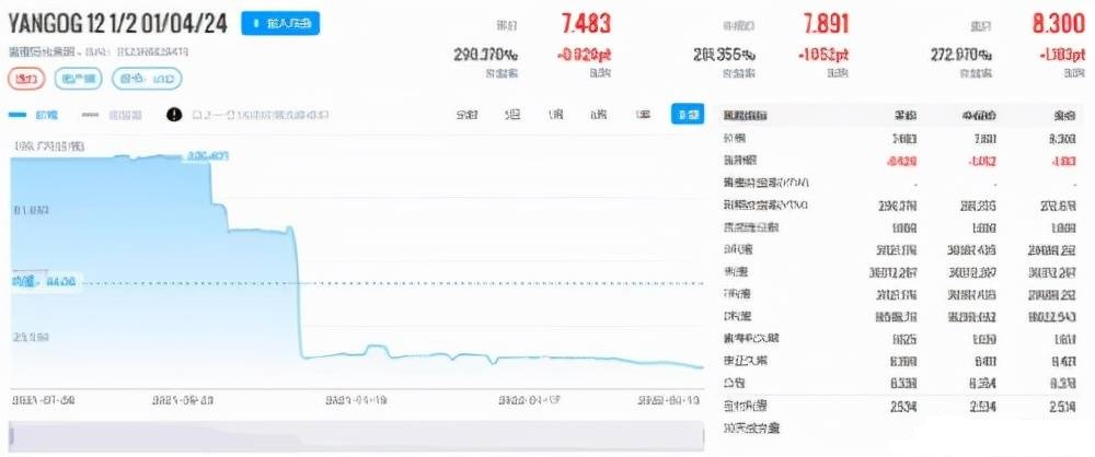 境外债券 YANGOG 12 1 2 01 04 24 .png 境外债券 YANGOG 12 1 2 01 04 24 .png