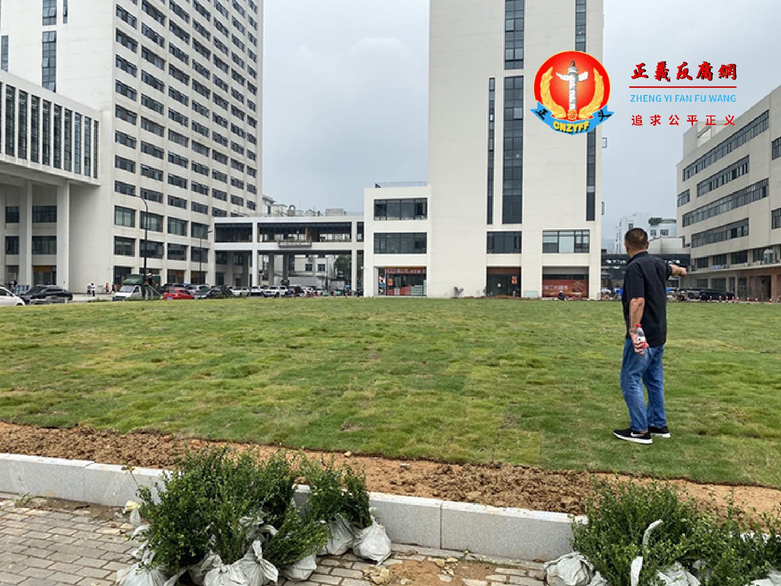 原厂址已被夷为平地,被铺上了草皮。.png 原厂址已被夷为平地,被铺上了草皮。.png