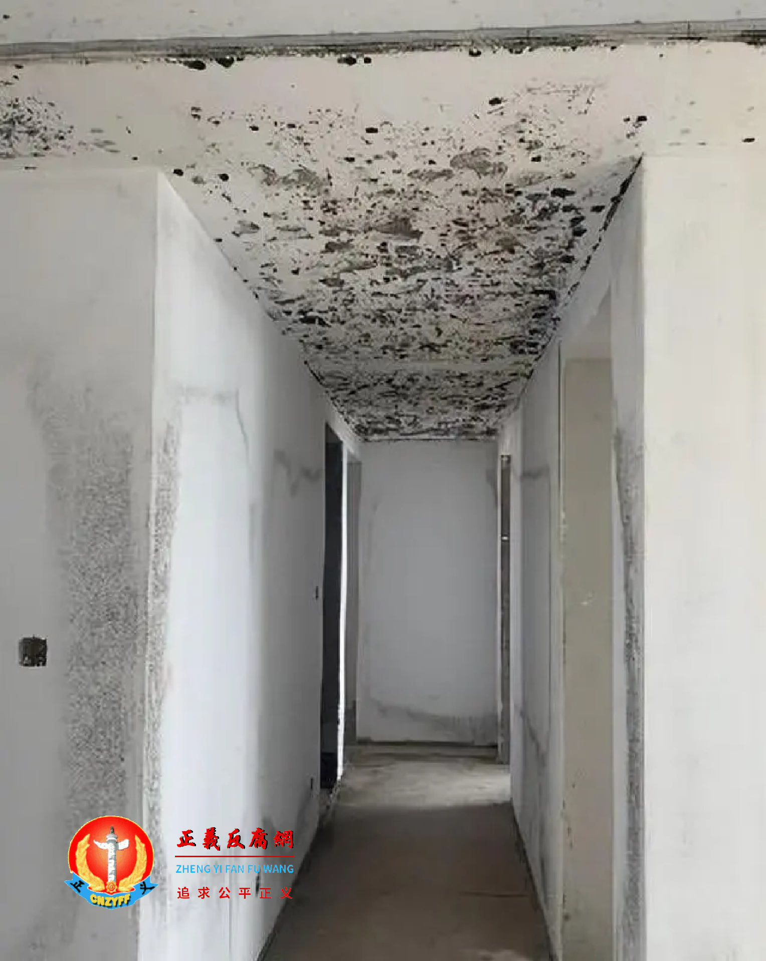 金沙乐府楼盘房屋内出现霉斑。.png 金沙乐府楼盘房屋内出现霉斑。.png