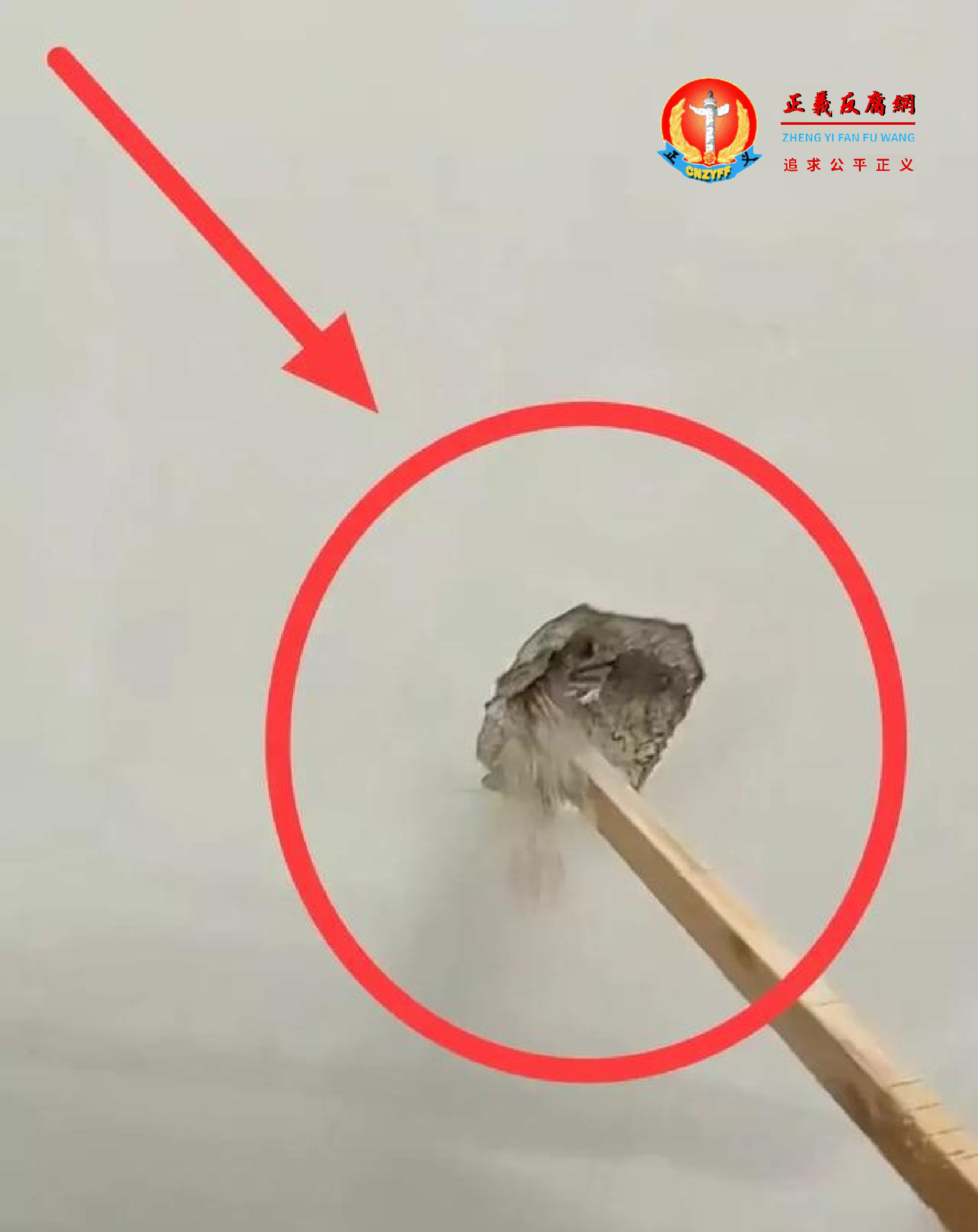 房子天花板用木棍可以轻松捅穿2个洞,用棍子一碰,水泥哗哗往下掉落。开发商称是“小瑕疵”。.png 房子天花板用木棍可以轻松捅穿2个洞,用棍子一碰,水泥哗哗往下掉落。开发商称是“小瑕疵”。.png